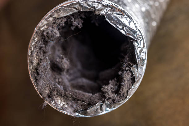 Best HVAC Duct Inspection Services  in Lake Andes, SD