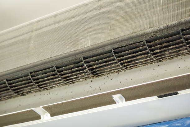 Best Dryer Vent Cleaning Services  in Lake Andes, SD